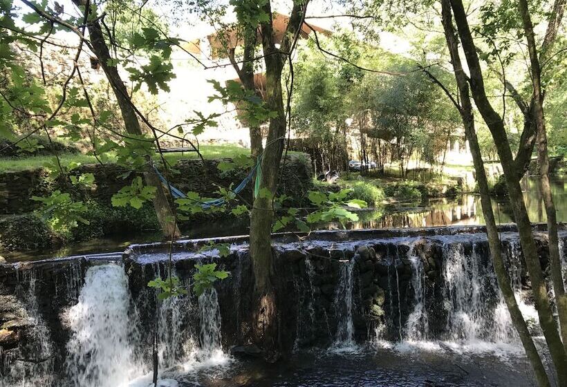 膳宿费 Moleiro Da Costa Má