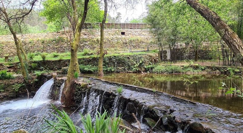 膳宿费 Moleiro Da Costa Má