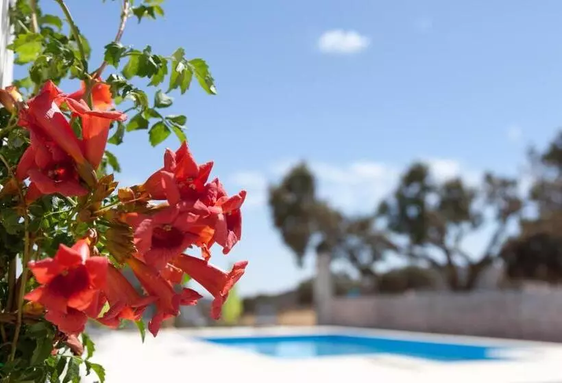 Majatalo Monte Farropo