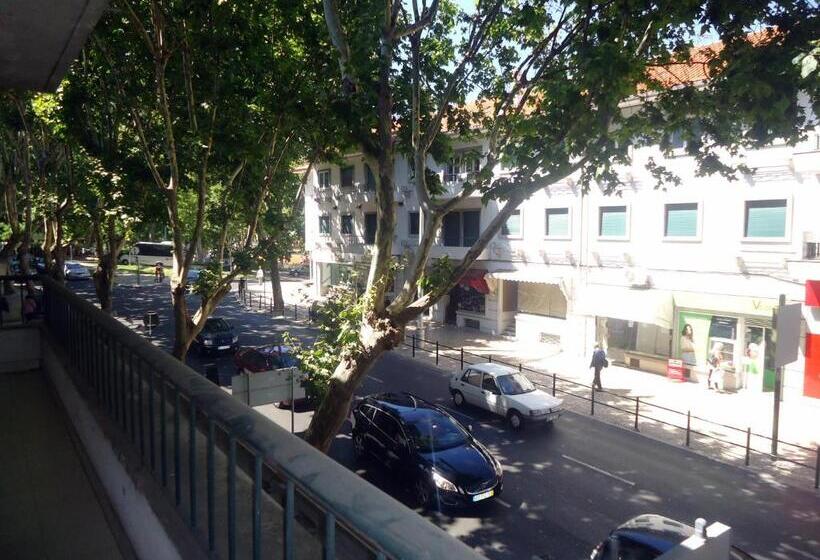 بنسيون Palm Guesthouse B&b Rooms