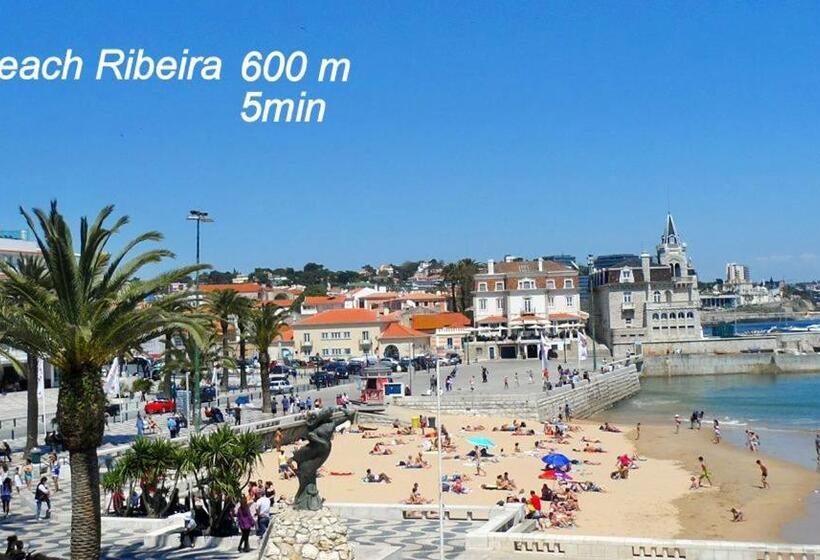 بنسيون Palm Guesthouse B&b Rooms