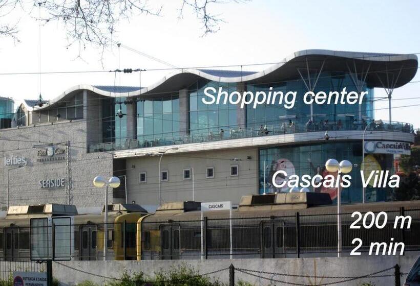 بنسيون Palm Guesthouse B&b Rooms