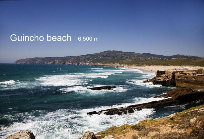 بنسيون Palm Guesthouse B&b Rooms