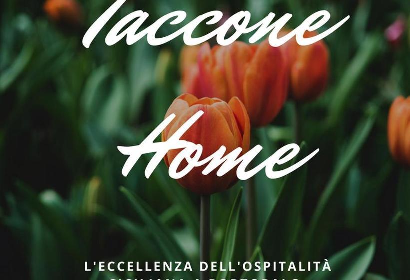 بنسيون Taccone Home