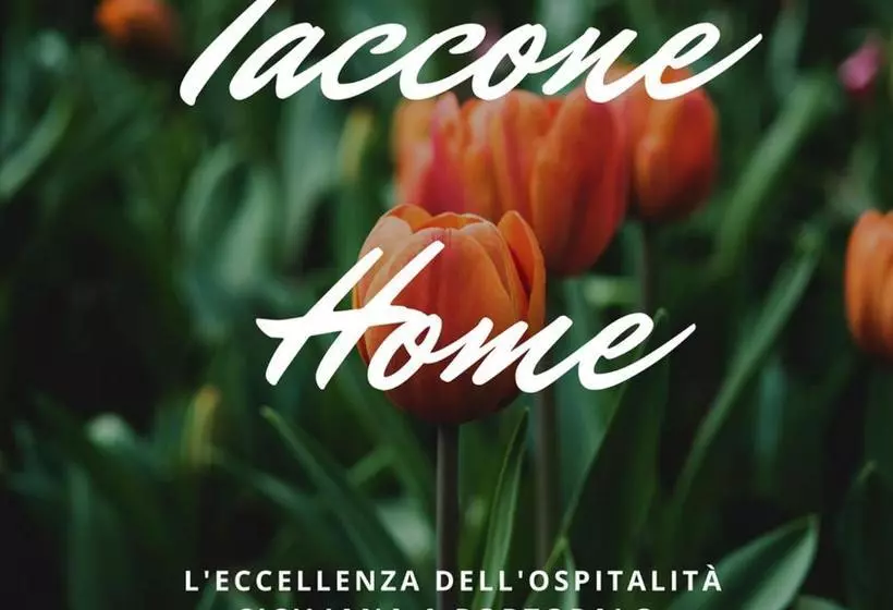 پانسیون Taccone Home