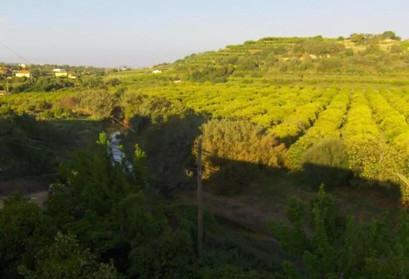 ペンション Vila Sodré Guest House