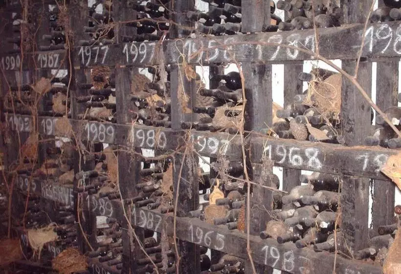 ペンション Vila Sodré Guest House