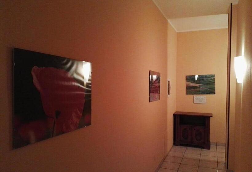 פנסיון Mr Jackpot2