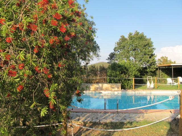 פנסיון Residenza D'epoca Le Pisanelle