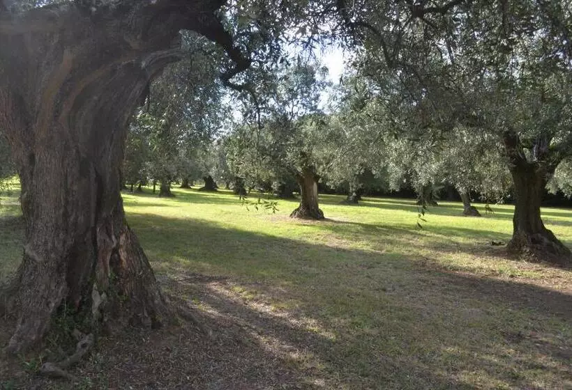 ホテル La Cipriana