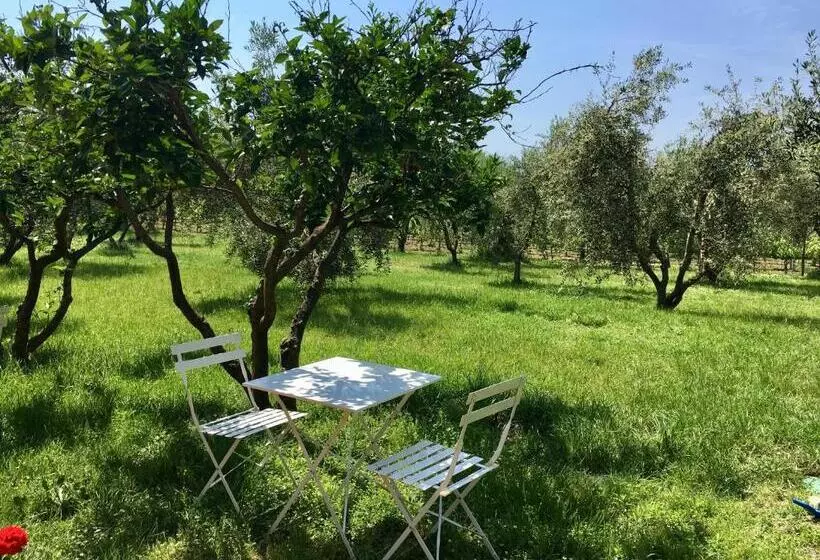 ホテル La Cipriana