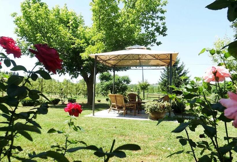 فندق Poderi Sartoris