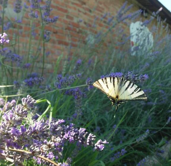 فندق Poderi Sartoris