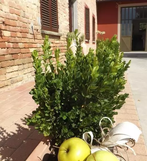 Hotelli Poderi Sartoris