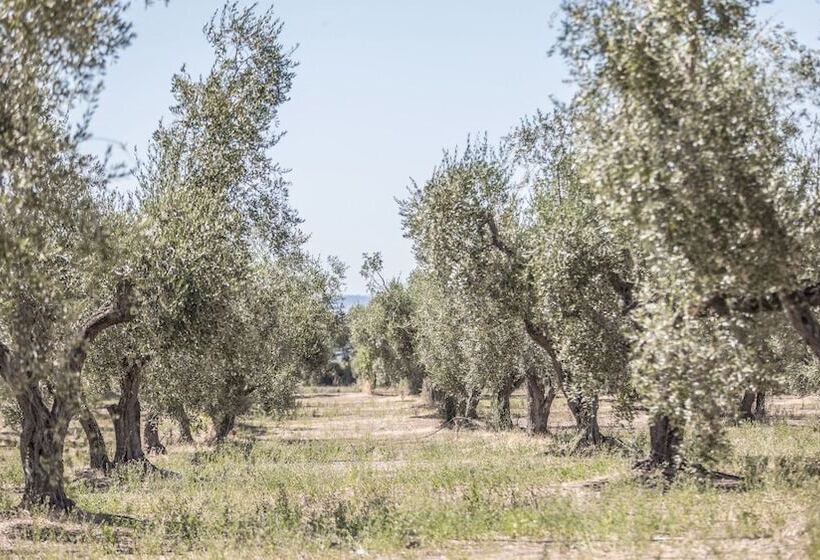 Szálloda Traldi Resort