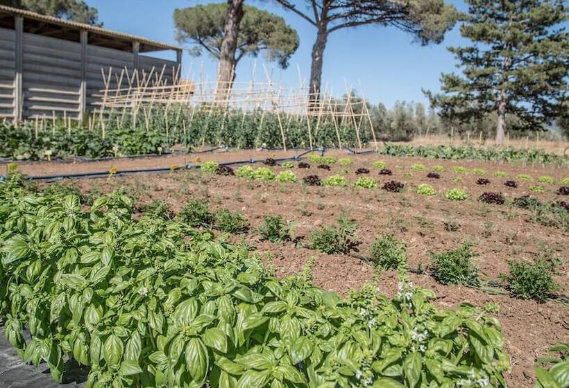 Szálloda Traldi Resort