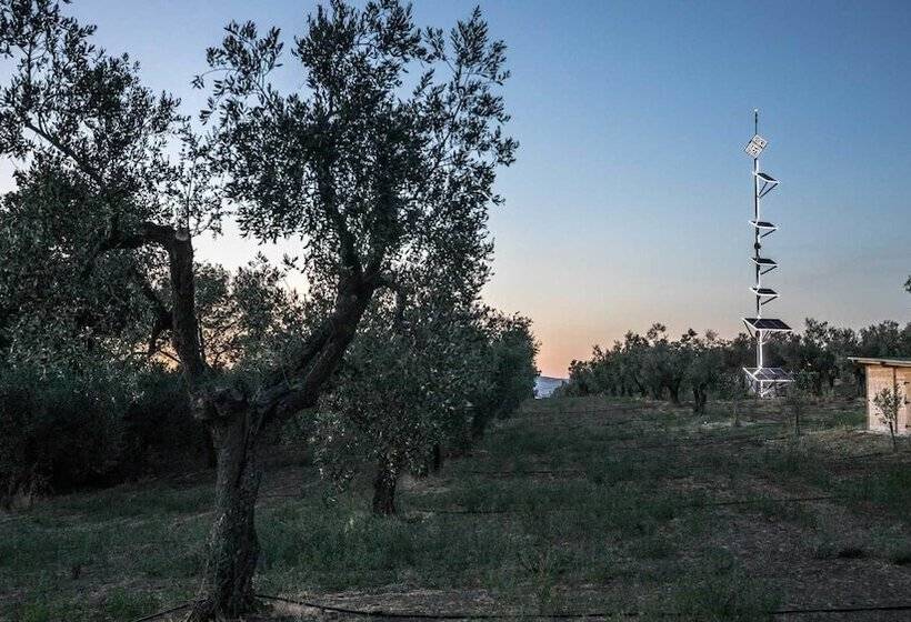 Szálloda Traldi Resort