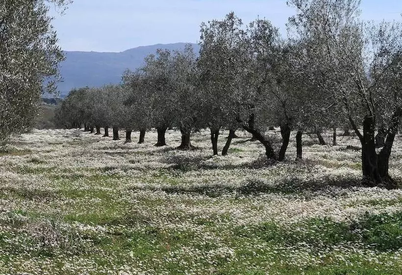 Hotelli Traldi Resort