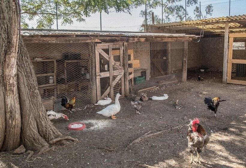 Szálloda Traldi Resort