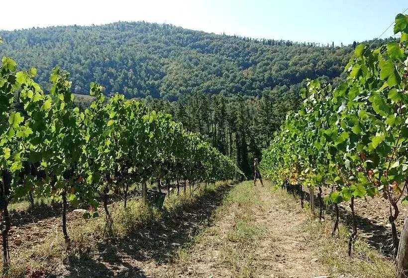 Hotelli Borgo Macereto