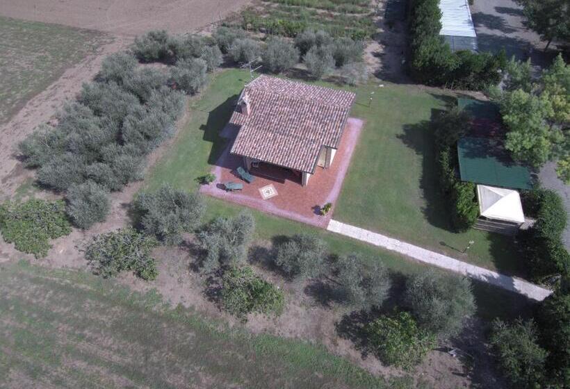 בית מלון כפרי Fattoria San Vincenzo