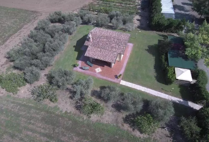 Hotelli Fattoria San Vincenzo