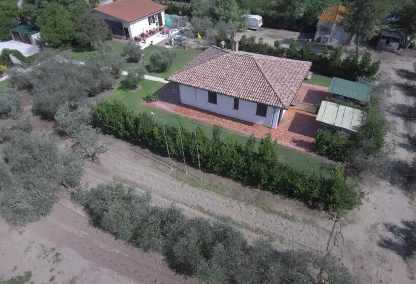 Hotelli Fattoria San Vincenzo