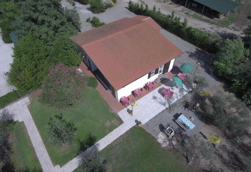 בית מלון כפרי Fattoria San Vincenzo