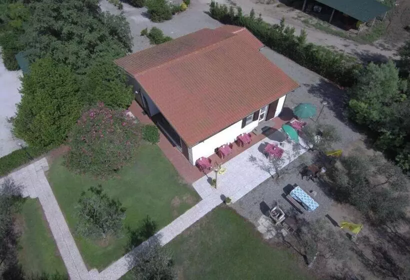 Hotelli Fattoria San Vincenzo