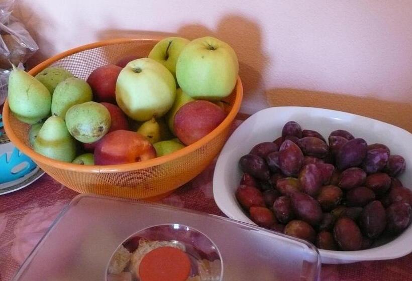 בית מלון כפרי Fattoria San Vincenzo