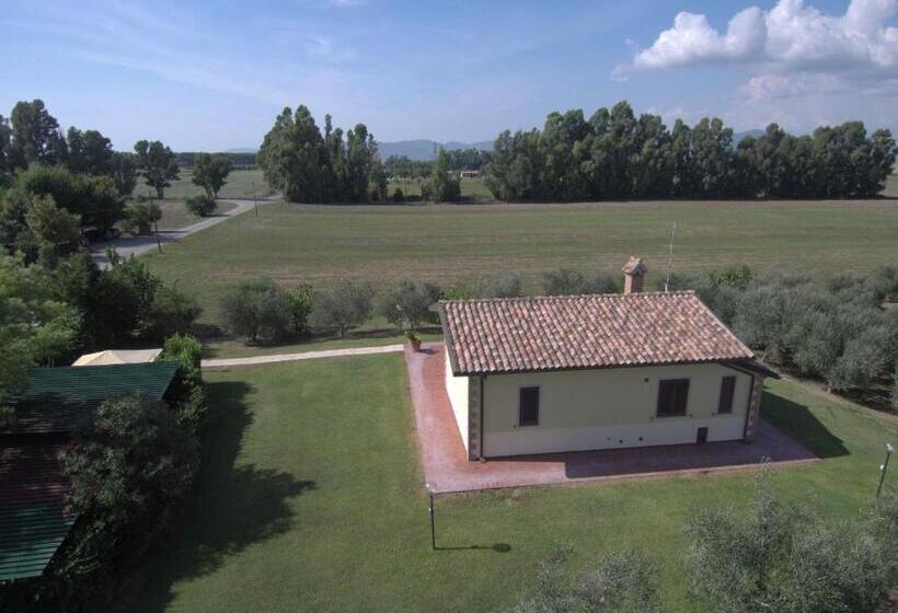 בית מלון כפרי Fattoria San Vincenzo