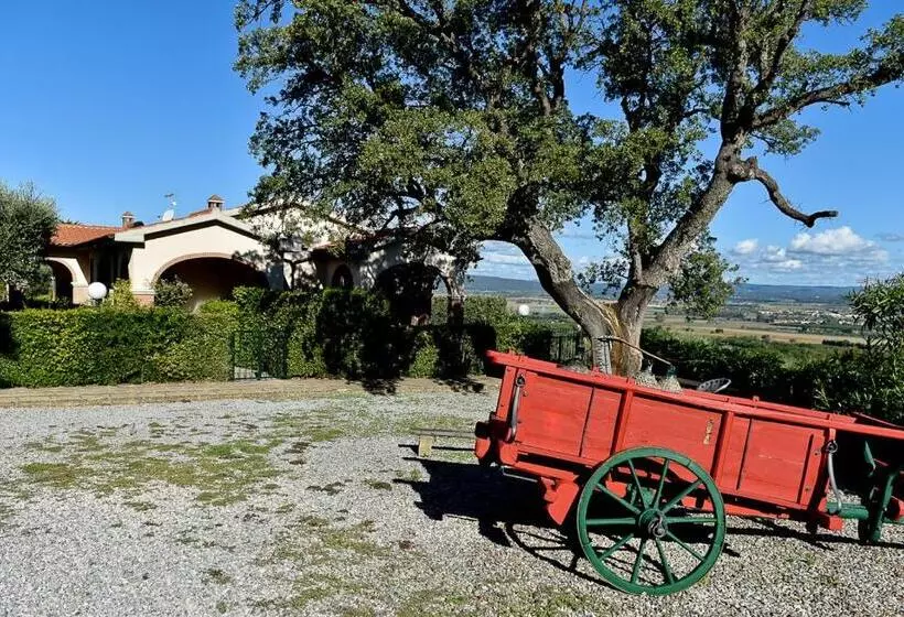 Casa Vacanze Bicchi