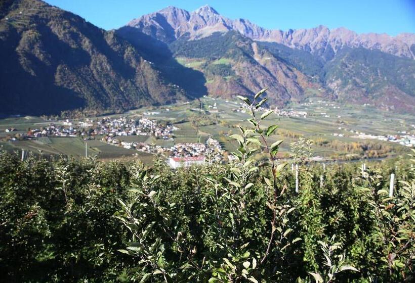 酒店 Biohof Niedereben