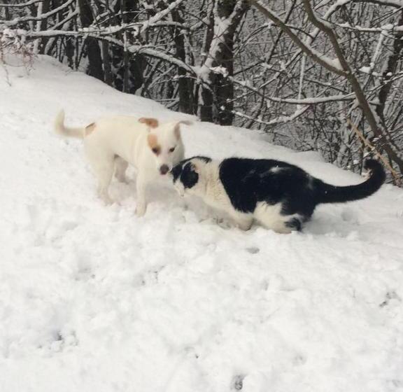 酒店 Biohof Niedereben