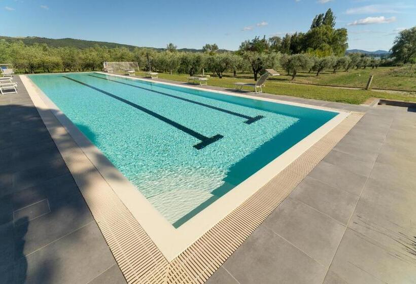 בית מלון כפרי Lagolivo