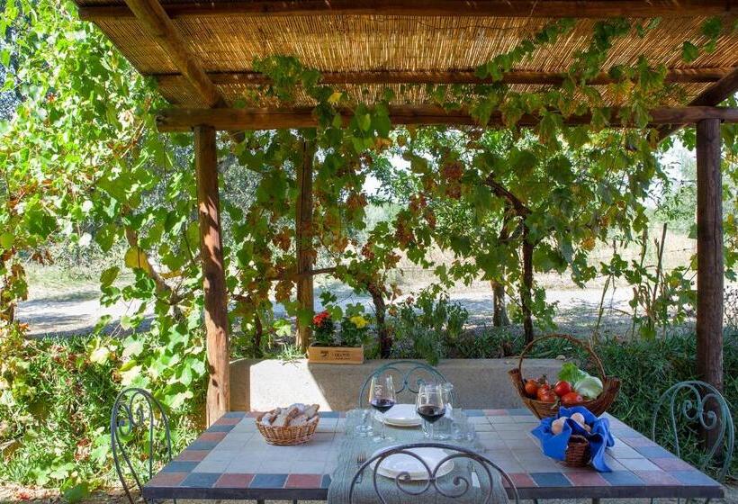 בית מלון כפרי Agriturismo Tra Gli Ulivi, Chiappini