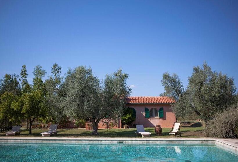 בית מלון כפרי Agriturismo Tra Gli Ulivi, Chiappini