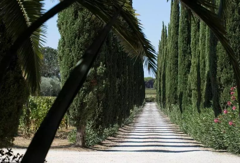 ホテル Agriturismo Tra Gli Ulivi, Chiappini
