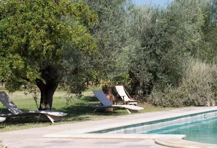 ホテル Agriturismo Tra Gli Ulivi, Chiappini