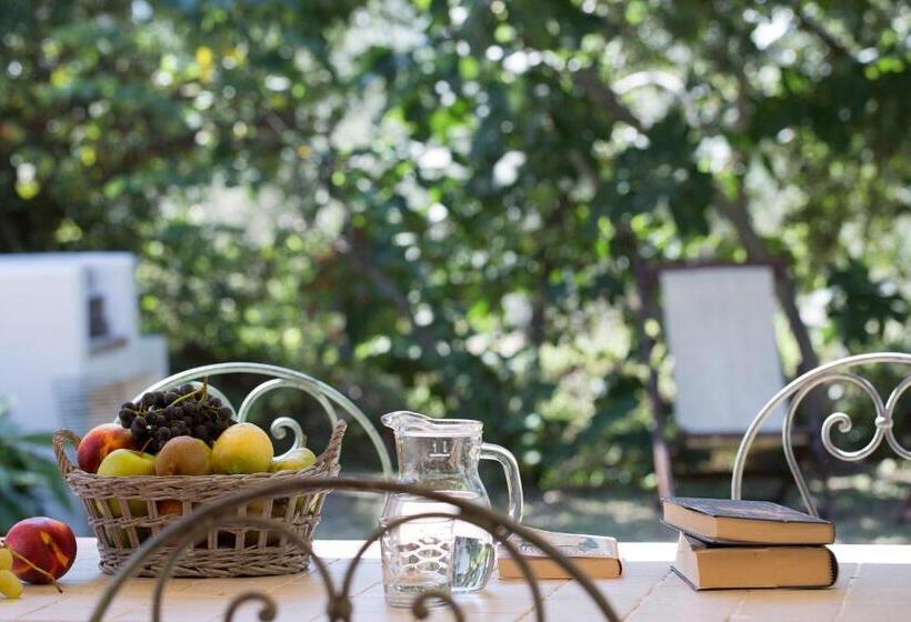 בית מלון כפרי Agriturismo Tra Gli Ulivi, Chiappini