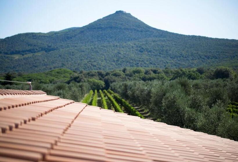 בית מלון כפרי Agriturismo Tra Gli Ulivi, Chiappini