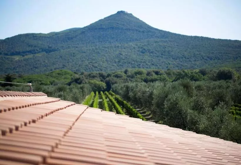 ホテル Agriturismo Tra Gli Ulivi, Chiappini