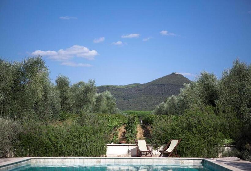 בית מלון כפרי Agriturismo Tra Gli Ulivi, Chiappini