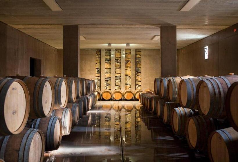 בית מלון כפרי Agriturismo Tra Gli Ulivi, Chiappini