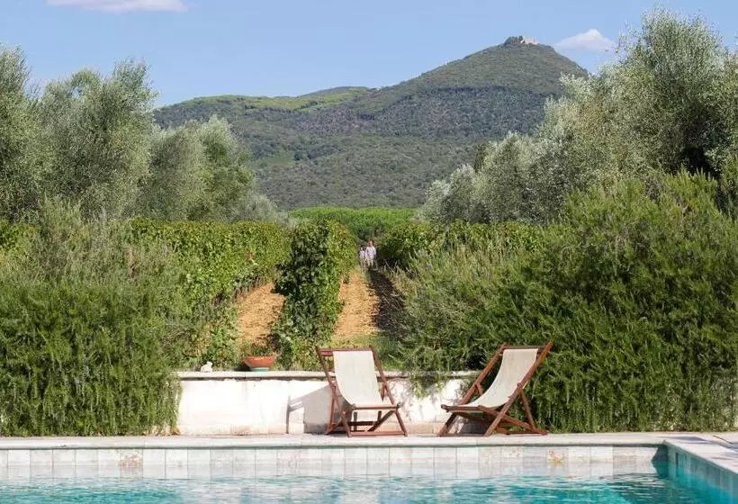 ホテル Agriturismo Tra Gli Ulivi, Chiappini