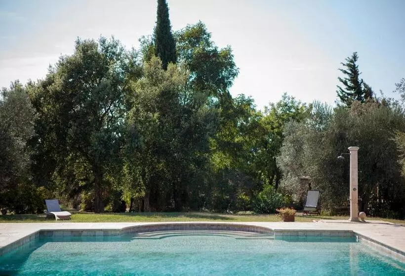 ホテル Agriturismo Tra Gli Ulivi, Chiappini