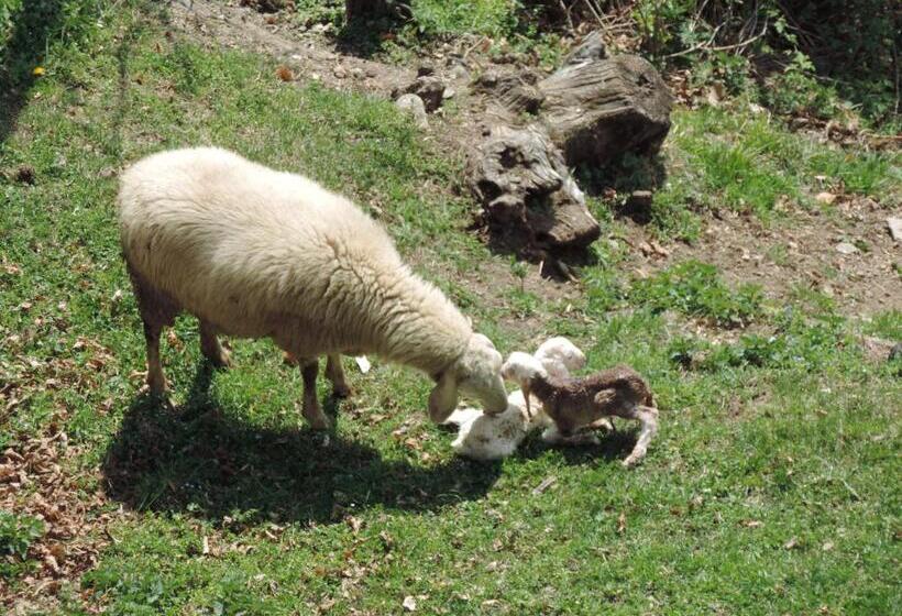 فندق Agriturismo Zertin