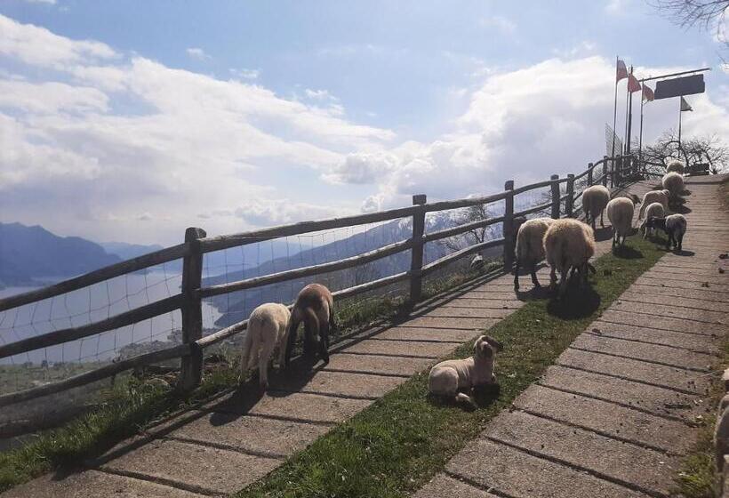 فندق Agriturismo Zertin