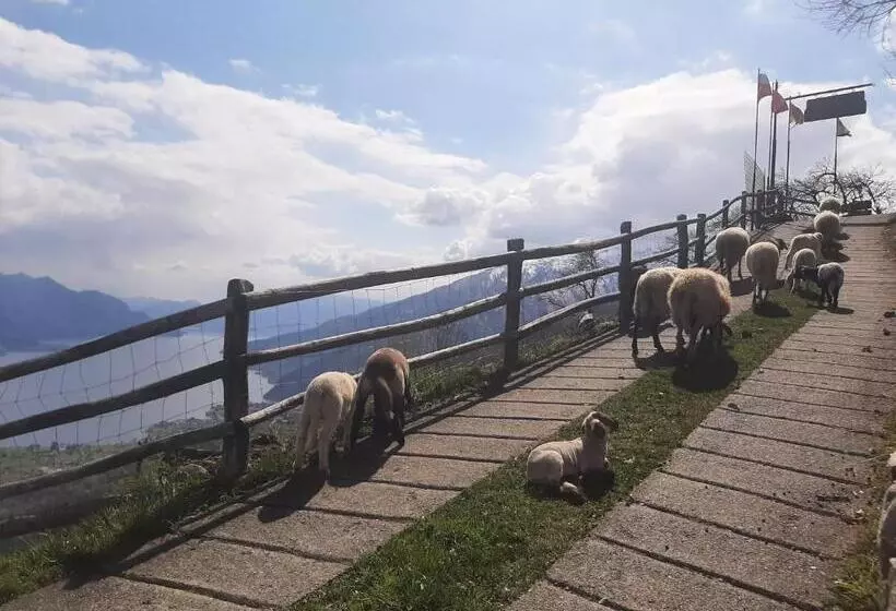 ホテル Agriturismo Zertin