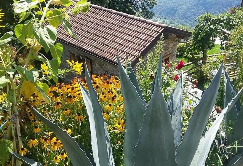 فندق Agriturismo Zertin